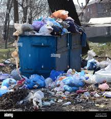 Best Hoarding Cleanup  in Dimondale, MI