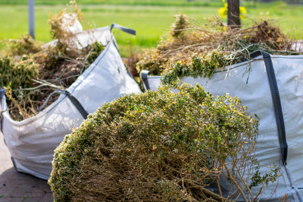 Best Electronics and E-Waste Disposal  in Dimondale, MI