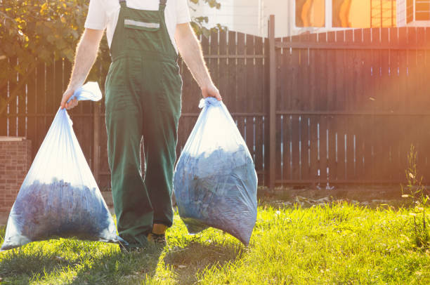 Best Dumpster Rental Services  in Dimondale, MI